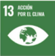 S_SDG-goals_icons-individual-rgb-13